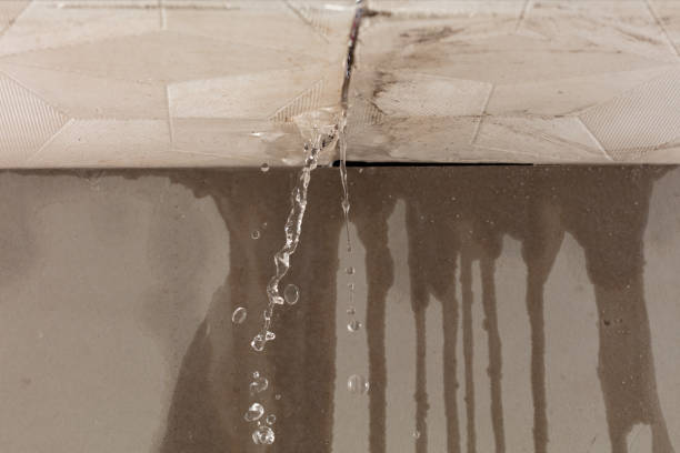 Professional Water Damage Inspection technician working in Melville, NY